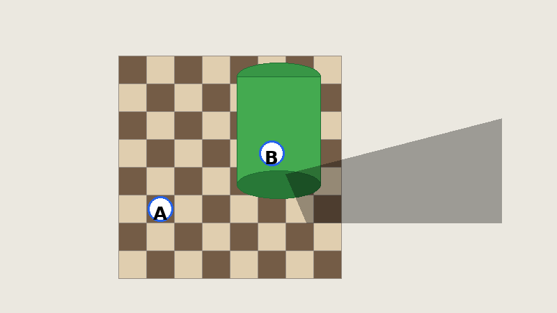 Checker Shadow